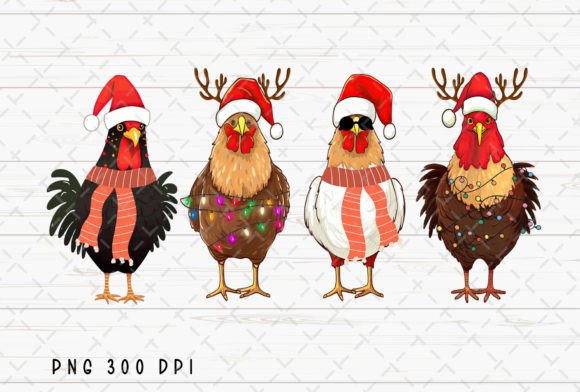 Chicken Christmas Lights Farm Animal PNG for Illustrations